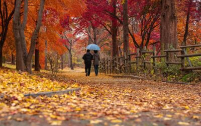 Is Fall a Good Time to Buy or Sell Real Estate?