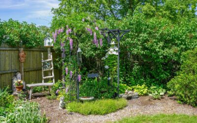 Kitchen or Yard? Dream Bigger in Your Next Home!