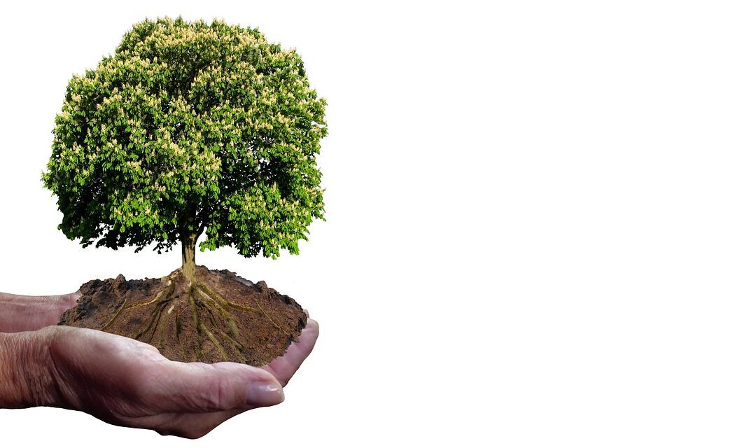 Plant Your Roots This Spring!