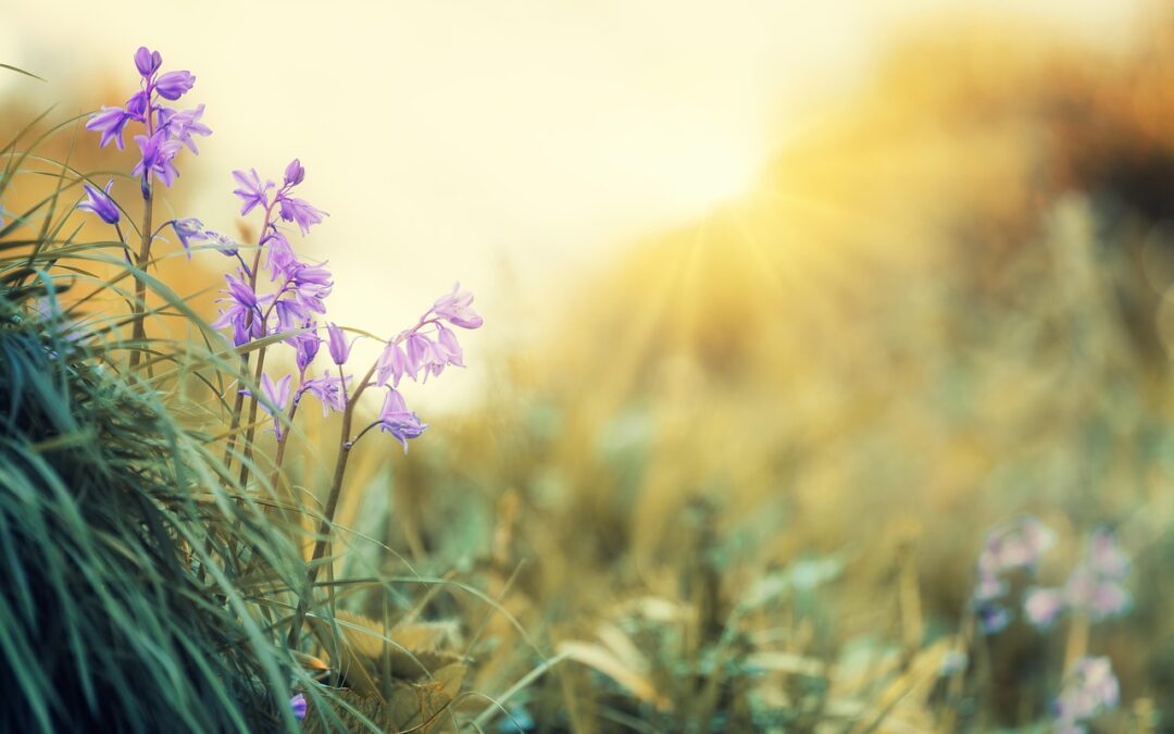 3 Steps to Buying a Home This Spring