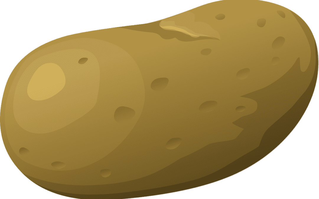 If a Potato Can Become Vodka, You Can Become a Homeowner!