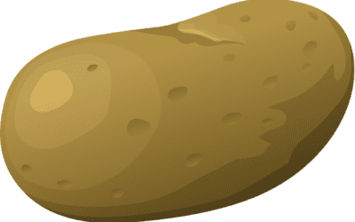 If a Potato Can Become Vodka, You Can Become a Homeowner!