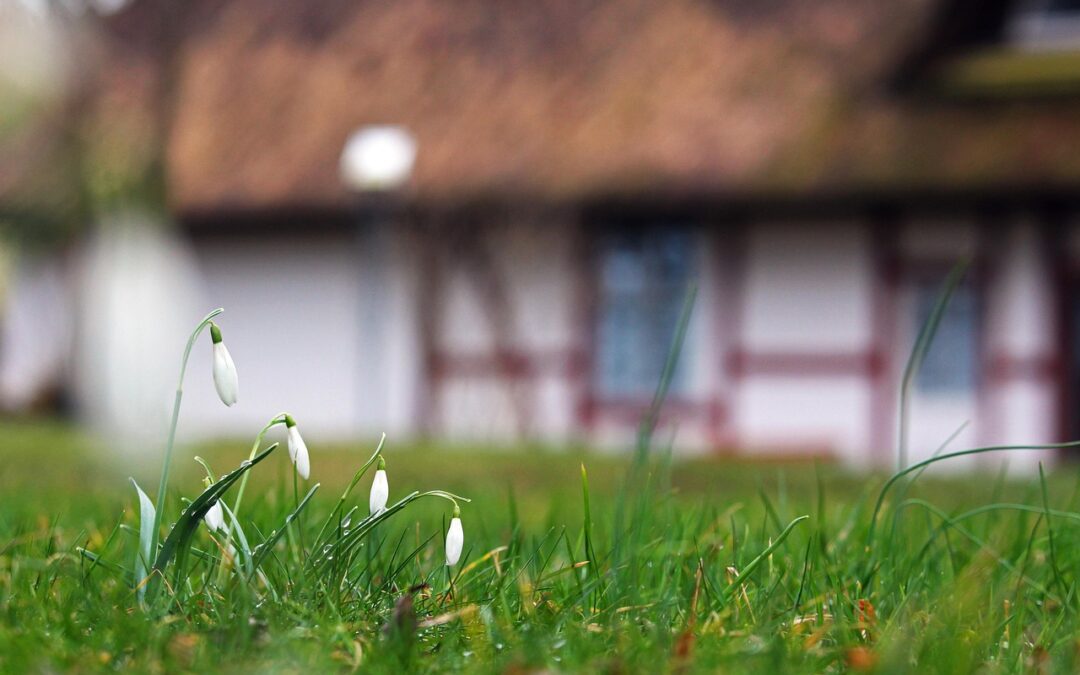 Why Spring is Often the Hottest Season for Real Estate