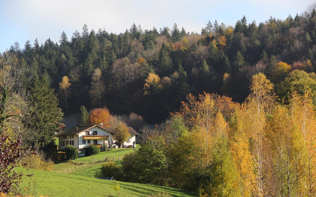 Change is in the Air: Find Your New Home Before the Snow Flies