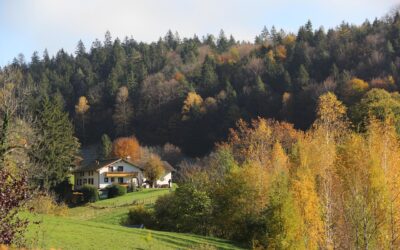 Change is in the Air: Find Your New Home Before the Snow Flies