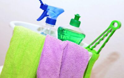 Should I Clean My House or Just Move?