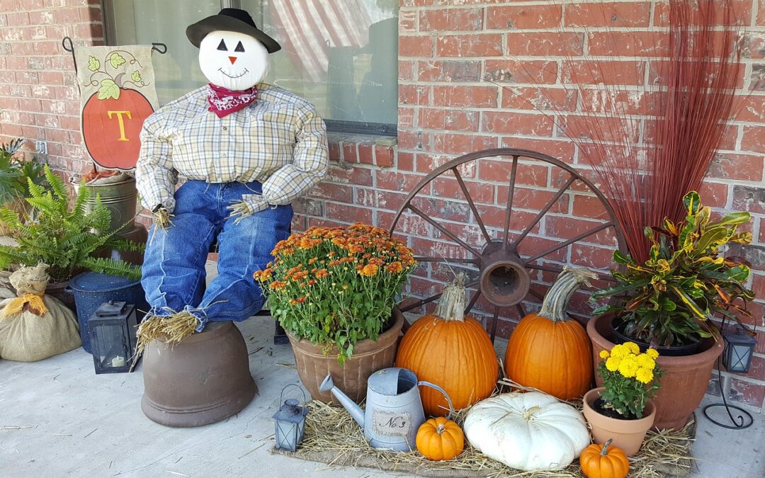 Curb Appeal: 7 Ways to Maximize Pumpkin Power