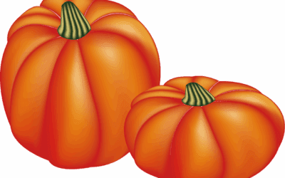 Pumpkin Spice Real Estate Advice: 3 Fall Secrets for Home Sellers