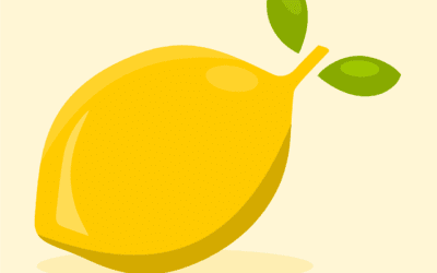 Sukkot Teachings About Real Estate