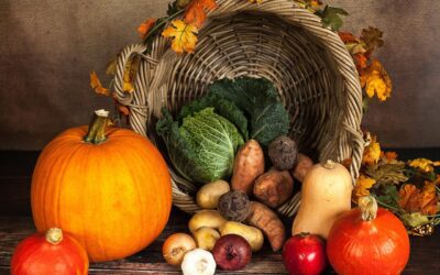 Thankful for My Clients: Lessons in Real Estate and Life