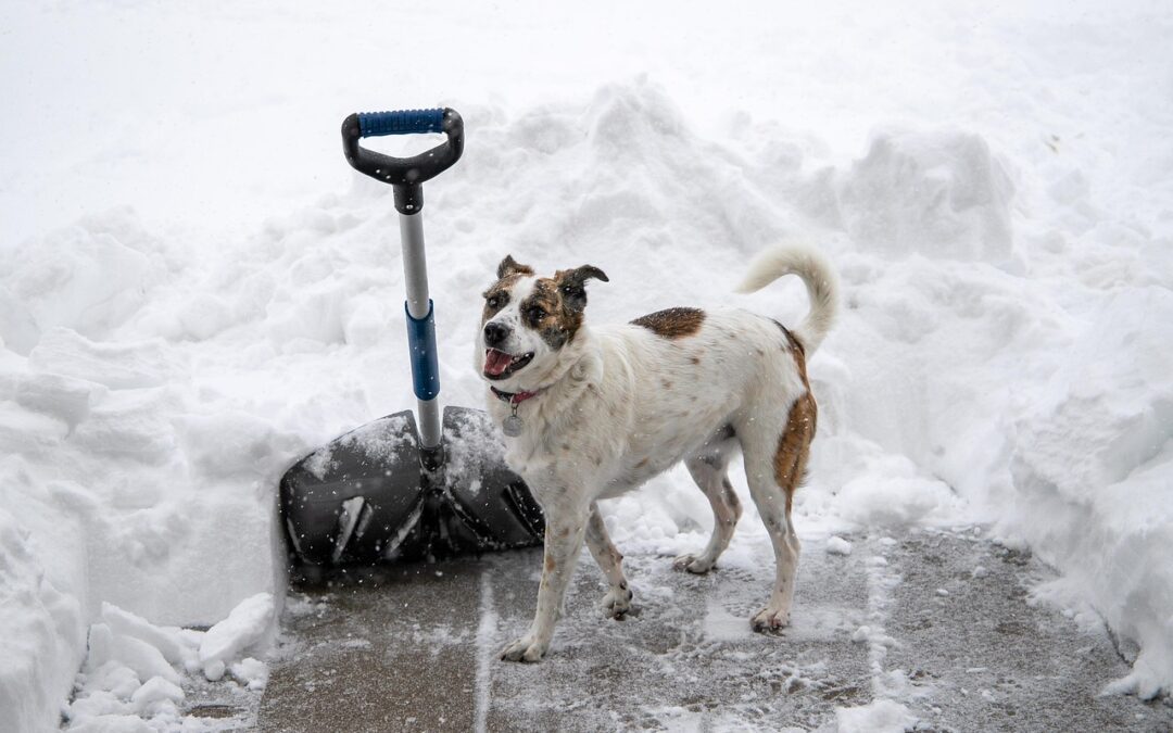 Winter-Proof Your Home