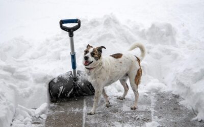 Winter-Proof Your Home